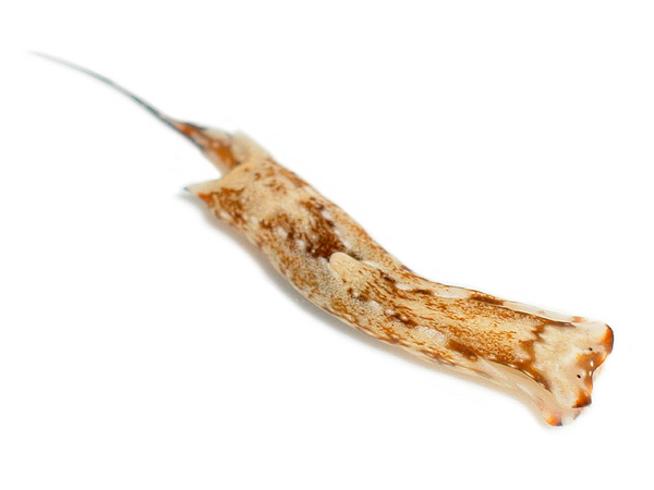 2347a