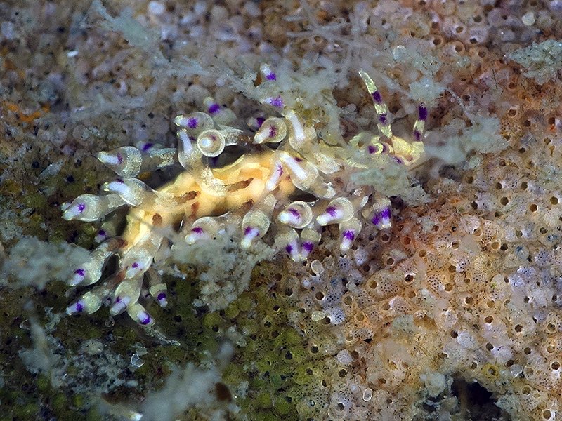 r0002a