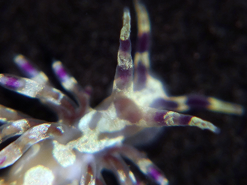 r0002a