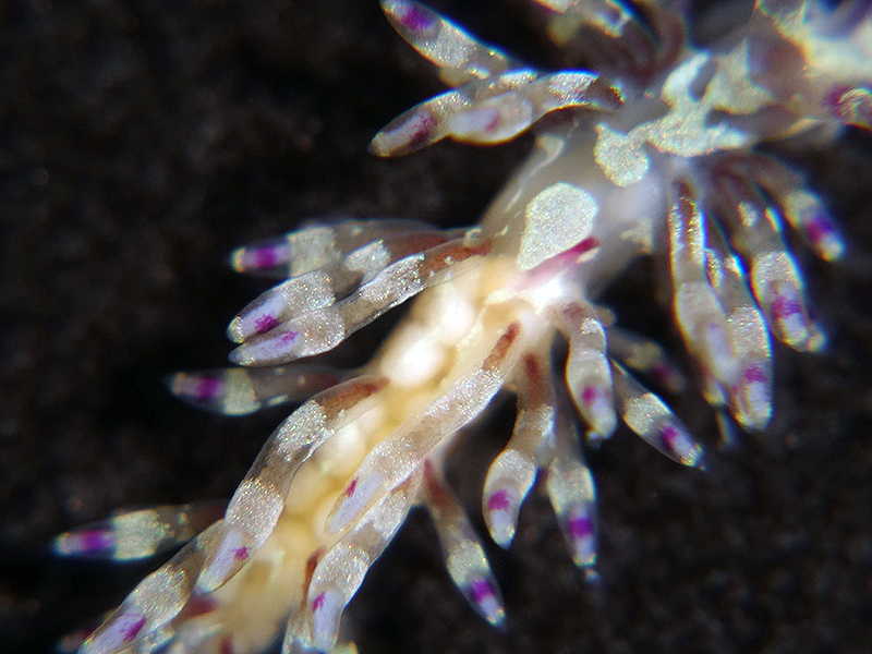 r0002a